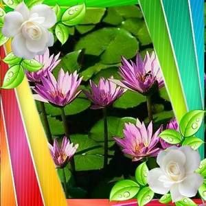 Meet your Posher, Peggy